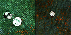 goods_file1