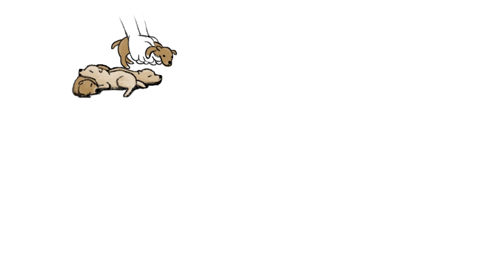 goods_file1