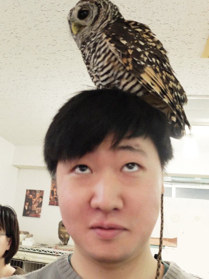 감독