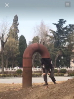 감독