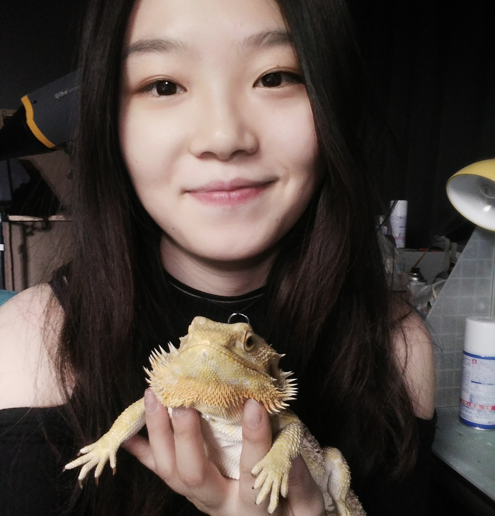 감독